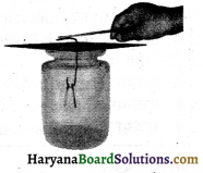 HBSE 8th Class Science Solutions Chapter 15 कुछ प्राकृतिक परिघटनाएँ -1
