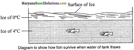 HBSE 9th Class Science Important Questions Chapter 1 Matter in Our Surroundings - 2
