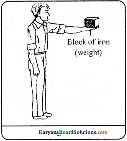 HBSE 9th Class Science Important Questions Chapter 11 Work and Energy - 2