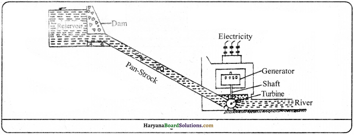 HBSE 9th Class Science Important Questions Chapter 11 Work and Energy - 3