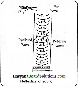 HBSE 9th Class Science Important Questions Chapter 12 Sound - 10