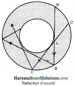 HBSE 9th Class Science Important Questions Chapter 12 Sound - 11