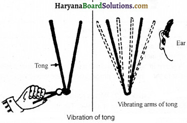HBSE 9th Class Science Important Questions Chapter 12 Sound - 13