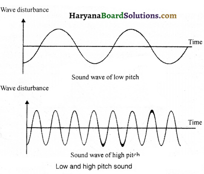 HBSE 9th Class Science Important Questions Chapter 12 Sound - 6