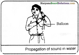 HBSE 9th Class Science Important Questions Chapter 12 Sound - 8