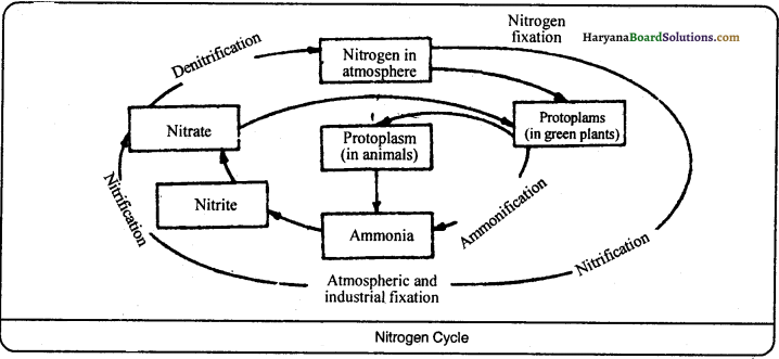 HBSE 9th Class Science Important Questions Chapter 14 Natural Resources - 3
