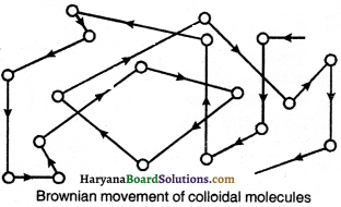 HBSE 9th Class Science Important Questions Chapter 2 Is Matter Around Us Pure - 5