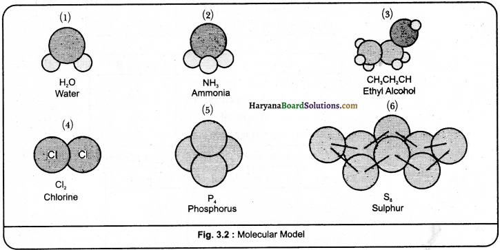 HBSE 9th Class Science Important Questions Chapter 3 Atoms and Molecules - 1