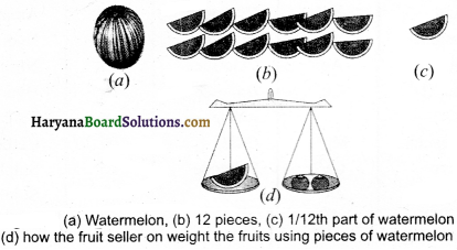 HBSE 9th Class Science Important Questions Chapter 3 Atoms and Molecules - 15