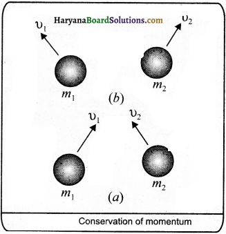 HBSE 9th Class Science Important Questions Chapter 9 Force and Laws of Motion - 13