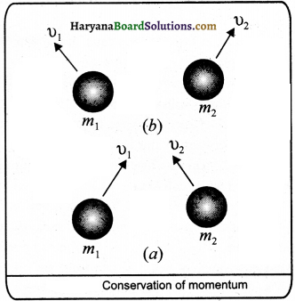 HBSE 9th Class Science Important Questions Chapter 9 Force and Laws of Motion - 6