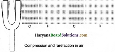 HBSE 9th Class Science Solutions Chapter 12 Sound - 1