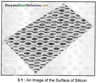 HBSE 9th Class Science Solutions Chapter 3 Atoms and Molecules - 1