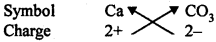 HBSE 9th Class Science Solutions Chapter 3 Atoms and Molecules - 12