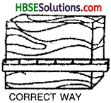 HBSE 6th Class Science Solutions Chapter 10 Motion and Measurement of Distances-1