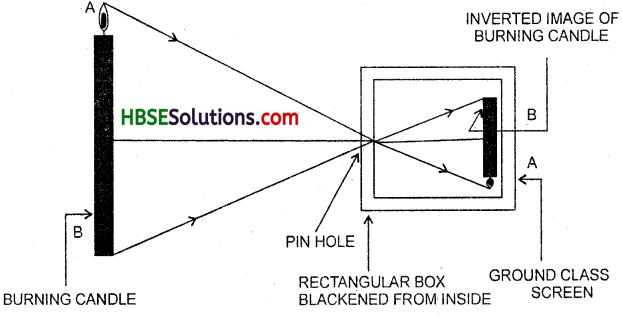 HBSE 6th Class Science Solutions Chapter 11 Light Shadows and Reflection-3