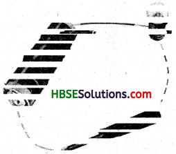 HBSE 6th Class Science Solutions Chapter 12 Electricity and Circuits-1