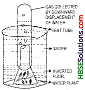 HBSE 6th Class Science Solutions Chapter 15 Air Around Us-4
