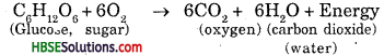 HBSE 6th Class Science Solutions Chapter 6 Changes Around Us 2