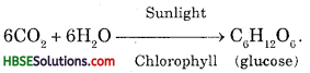 HBSE 6th Class Science Solutions Chapter 7 Getting to Know Plants 2