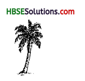 HBSE 6th Class Science Solutions Chapter 7 Getting to Know Plants 3b