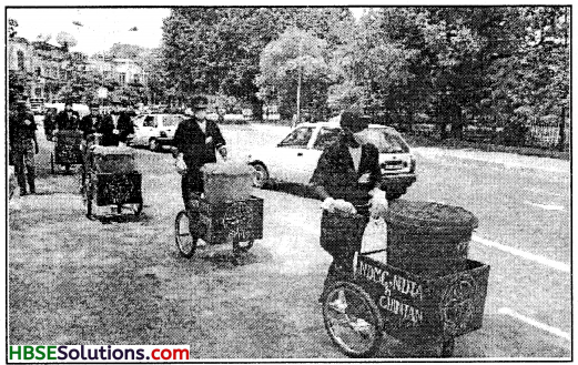 HBSE 6th Class Social Science Solutions Civics Chapter 7 Urban Administration-2