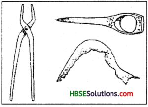 HBSE 6th Class Social Science Solutions History Chapter 9 Vital Villages, Thriving Towns IMG 1