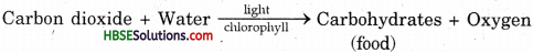 HBSE 7th Class Science Solutions Chapter 1 Nutrition in Plants-8
