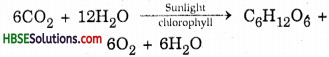 HBSE 7th Class Science Solutions Chapter 1 Nutrition in Plants-1