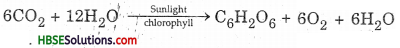 HBSE 7th Class Science Solutions Chapter 1 Nutrition in Plants-4