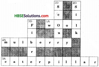 HBSE 7th Class Science Solutions Chapter 3 Fibre to Fabric-4