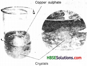 HBSE 7th Class Science Solutions Chapter 6 Physical and Chemical Changes-2