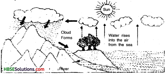 HBSE 7th Class Science Solutions Chapter 8 Winds, Storms and Cyclones-4