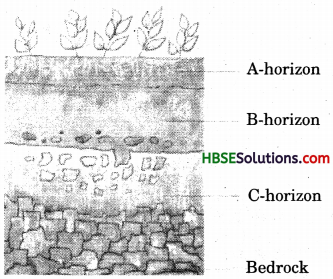 HBSE 7th Class Science Solutions Chapter 9 Soil-1