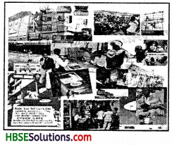 HBSE 7th Class Social Science Solutions Civics Chapter 6 Understanding Media-4