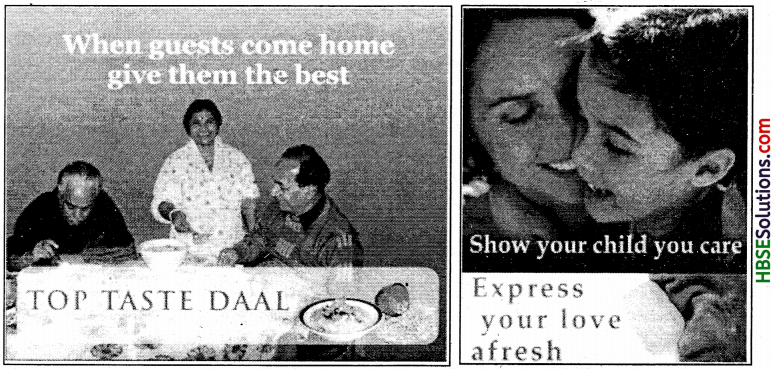 HBSE 7th Class Social Science Solutions Civics Chapter 7 Understanding Advertising-1