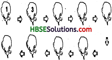 HBSE 7th Class Social Science Solutions Civics Chapter 9 A Shirt in the Market-1