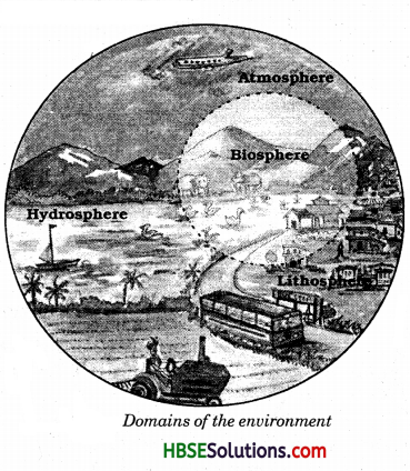 HBSE 7th Class Social Science Solutions Geography Chapter 1 Environment 2