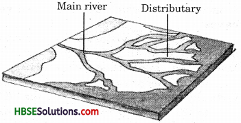 HBSE 7th Class Social Science Solutions Geography Chapter 3 Our Changing Earth 7