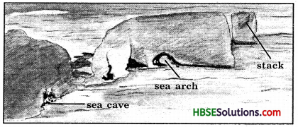 HBSE 7th Class Social Science Solutions Geography Chapter 3 Our Changing Earth 8