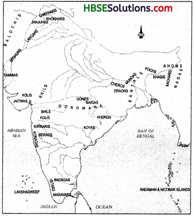 HBSE 7th Class Social Science Solutions History Chapter 7 Tribes, Nomads and Settled Communities-1