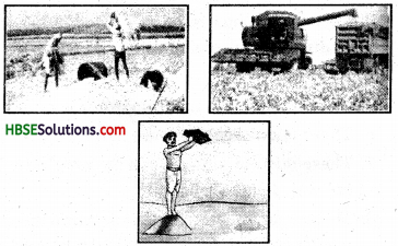 HBSE 8th Class Science Solutions Chapter 1 Crop Production and Management-9