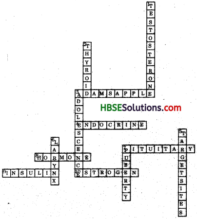 HBSE 8th Class Science Solutions Chapter 10 Reaching the Age of Adolescence-2