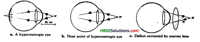 HBSE 8th Class Science Solutions Chapter 16 Light 12