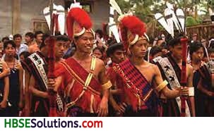 HBSE 8th Class Social Science Solutions Civics Chapter 7 Understanding Marginalisation-1