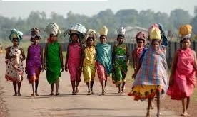 HBSE 8th Class Social Science Solutions Civics Chapter 7 Understanding Marginalisation-2