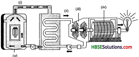 HBSE 8th Class Social Science Solutions Geography Chapter 3 Mineral and Power Resources 3