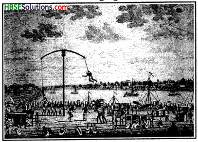 HBSE 8th Class Social Science Solutions History Chapter 10 The Changing World of Visual Arts-2