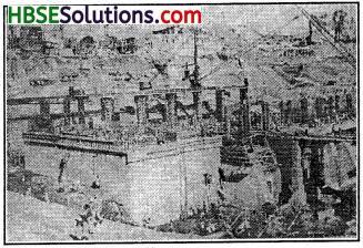 HBSE 8th Class Social Science Solutions History Chapter 12 India After Independence-1