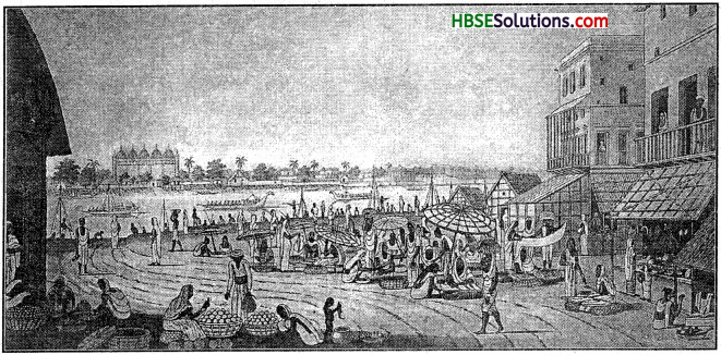 HBSE 8th Class Social Science Solutions History Chapter 3 Ruling the Countryside 1